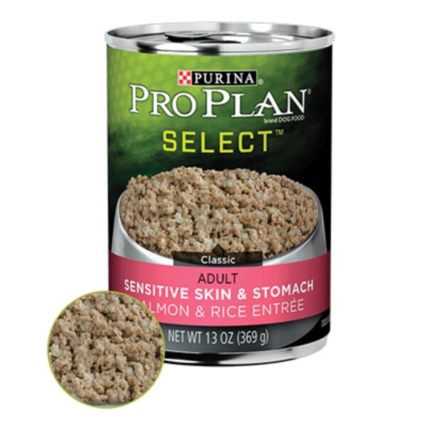 DOG FOOD PRO PLAN FOCUS SALMON/RICE 13OZ