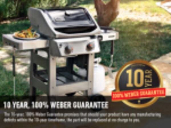 Weber spirit store ii e210