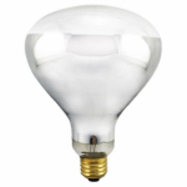 250W R40 CLEAR HEAT LAMP