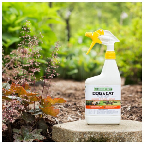 Liquid fence dog & cat repellent best sale